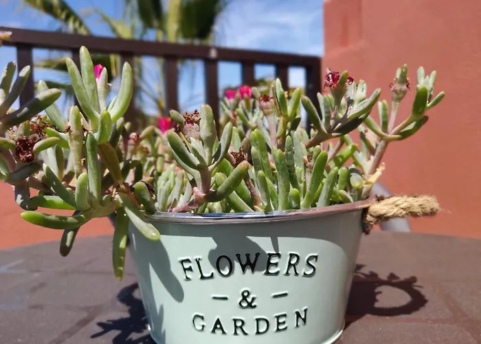 Oasis Tamarindo Poppins Pool E Terrace * 코라레호