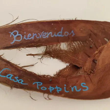 Oasis Tamarindo Poppins Pool E Terrace *