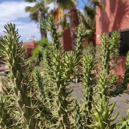 Appartamento Oasis Tamarindo Poppins Pool E Terrace Corralejo