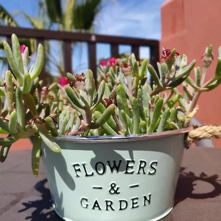 Oasis Tamarindo Poppins Pool E Terrace * 科拉雷侯