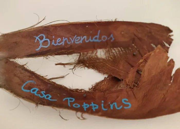 Oasis Tamarindo Poppins Pool E Terrace *