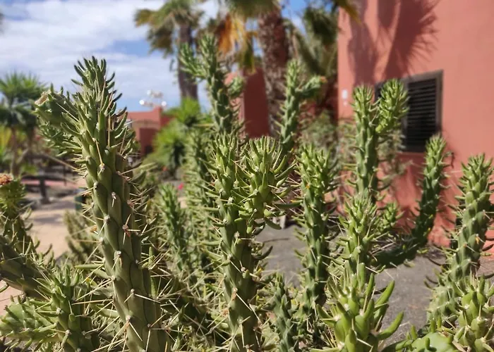 公寓 Oasis Tamarindo Poppins Pool E Terrace 科拉雷侯