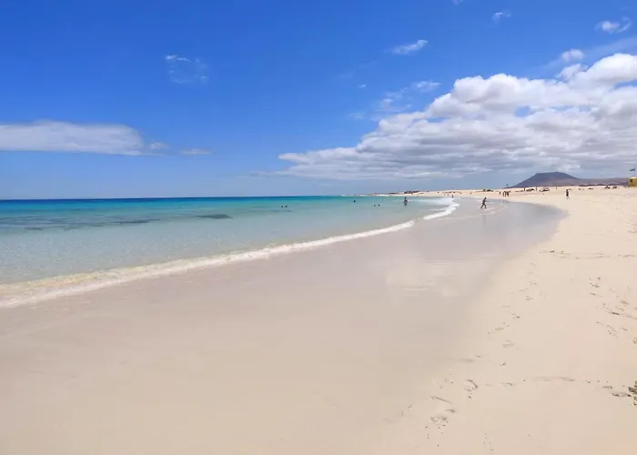 Oasis Tamarindo Poppins Pool E Terrace 科拉雷侯